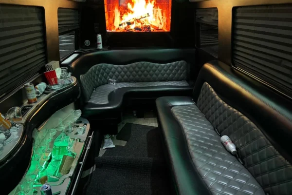 12 passengers limo van-2