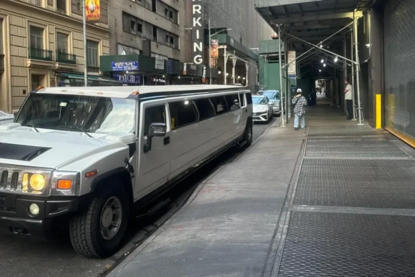 20 passengers hummer limo